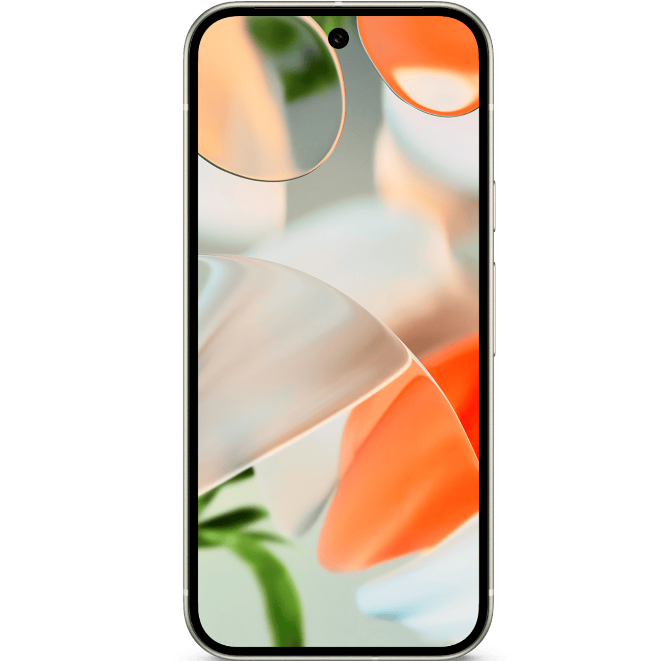 Телефон Google Pixel 9 12/256 Gb (Porcelain) купить в AppleGod